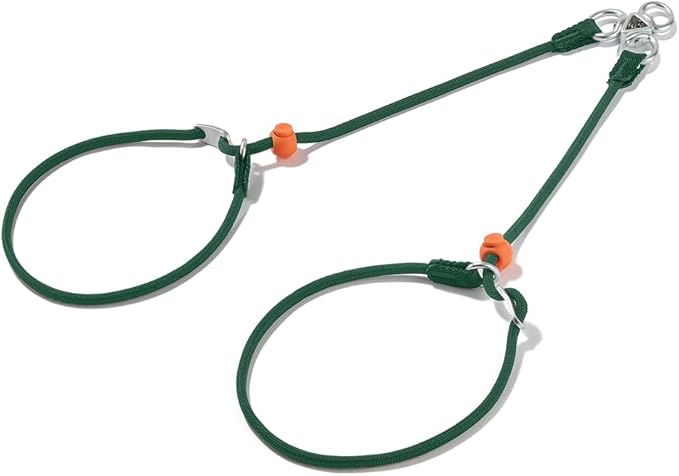 Howgo Double Slip Leash Slip Lead | Dual Dog Lead for 2 Dogs,360° Swivel No Tangle | Dog Training Nylon Leash and Collar | Double Clip Coupler and Splitter | Lightweight Aluminum (Green, 3FT)