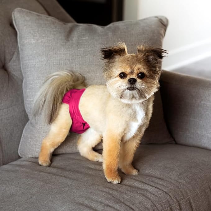 Pet Parents® Washable Dog Diapers (3pack) + Extendrs® of Durable Doggie Diapers, Premium Dog Diapers Female (X-Small, Princess)