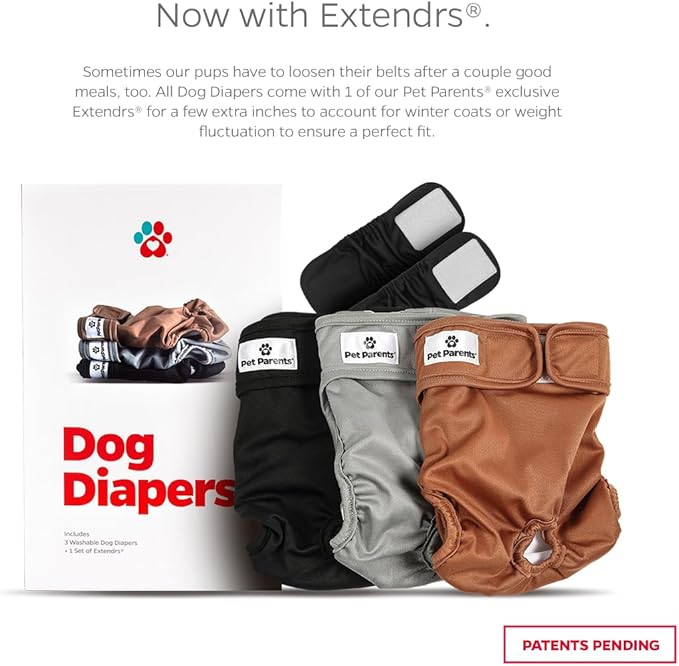Pet Parents® Washable Dog Diapers (3pack) + Extendrs® of Durable Doggie Diapers, Premium Dog Diapers Female (Large, Natural)