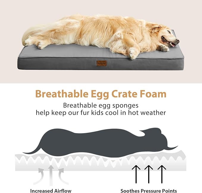 BFPETHOME Outdoor Dog Bed for Large Dogs, Waterproof, Orthopedic with Removable Washable Cover, Egg Crate Foam Mat (36 x 27 In, Dark Grey)