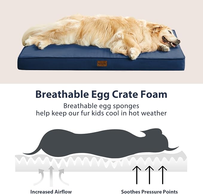 BFPETHOME Outdoor Dog Bed for Large Dogs, Waterproof, Orthopedic with Removable Washable Cover, Egg Crate Foam - 30 x 20in, Navy