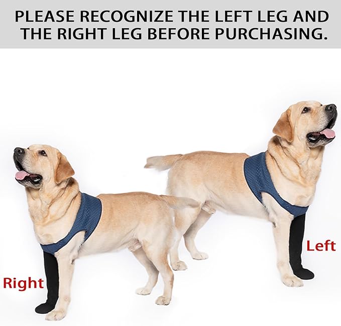 COODEO Dog Socks to Prevent Licking Paws, Healing Boots & Paw Protectors with Non-Slip Bottoms for Wound Protection, Waterproof Sleeve Shoes for Licking(Blue,3XL_Right