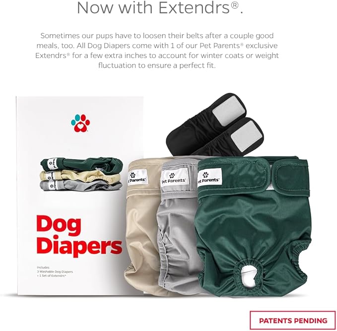 Pet Parents® Washable Dog Diapers (3pack) + Extendrs® of Durable Doggie Diapers, Premium Dog Diapers Female (Small, Spruce)
