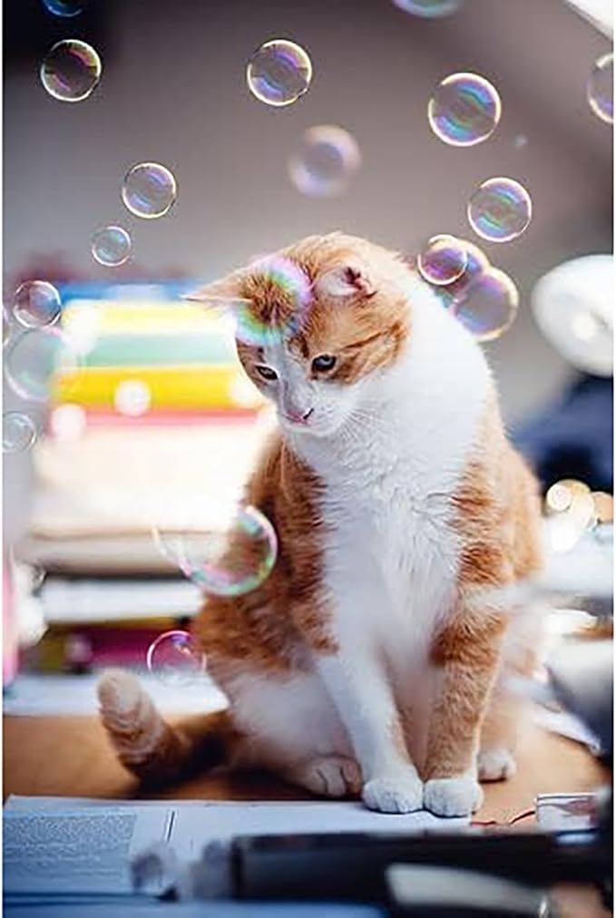 Kitty Love Bubbles: 2 Pack Catnip Scented - 4oz Bottles, Catnip Infused Long Lasting Bubbles For Cats, Non-Toxic & Allergen-Free, Combine Toy & Treat