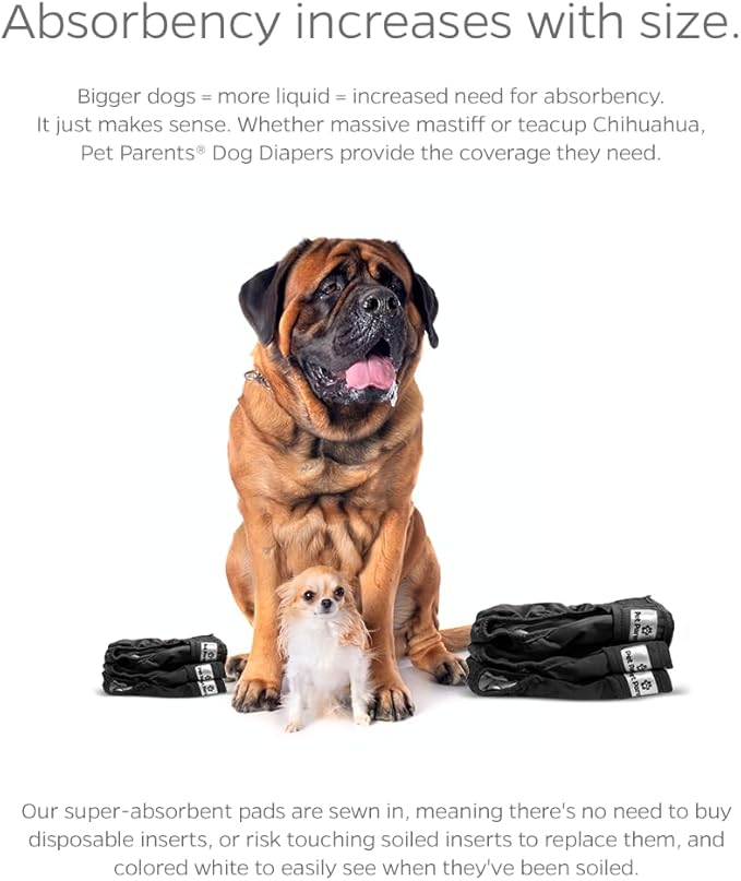 Pet Parents® Washable Dog Diapers (3pack) + Extendrs® of Durable Doggie Diapers, Premium Dog Diapers Female & Male (X-Small, Black)