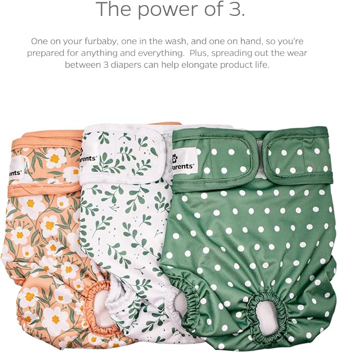 Pet Parents® Washable Dog Diapers (3pack) + Extendrs® of Durable Doggie Diapers, Premium Dog Diapers Female (X-Large, Daisy)