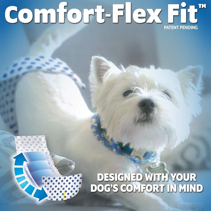 OUT! Pet Care Disposable Male Dog Diapers | Absorbent Male Wraps with Leak Proof Fit | XS/Small, 12 Count (Pack of 4)