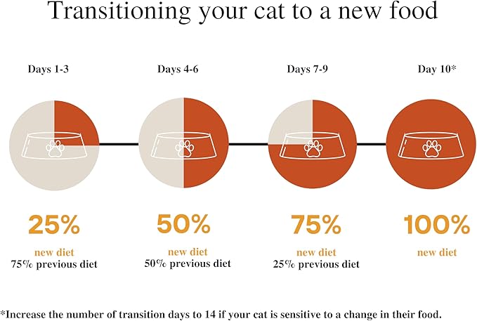 Amazon Brand - Wonder Bound Canned Wet Cat Food (Turkey & Giblet Dinner Paté), No Artificial Flavors, Adult Recipe, 3 Ounce (Pack of 24)