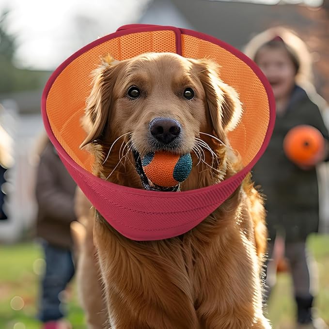 Soft Dog Cone Recovery Collars & Cones After Surgery for Medium Large Dogs, Comfy Ecollars to Stop Licking, Adjustable, Dog Ecollars for Recovery Plastic: Superior Support Fabric: Soft Comfort, XL