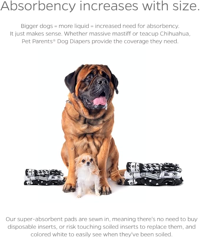 Pet Parents® Washable Dog Diapers (3pack) + Extendrs® of Durable Doggie Diapers, Premium Dog Diapers Female (Large, Luxe)