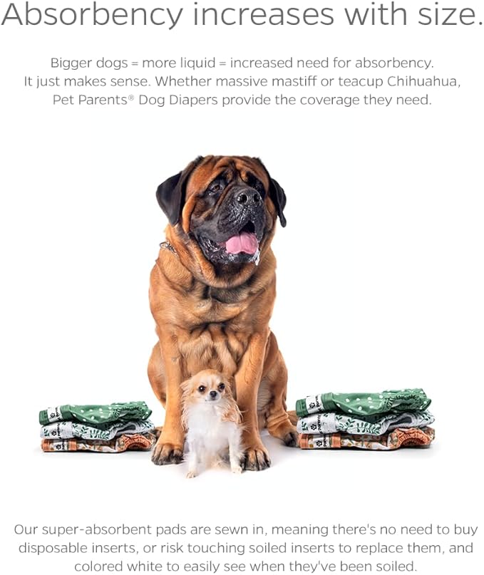 Pet Parents® Washable Dog Diapers (3pack) + Extendrs® of Durable Doggie Diapers, Premium Dog Diapers Female (X-Large, Daisy)