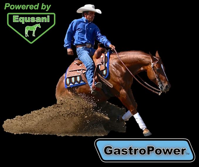 GastroPower Digestible Free Fatty Acid Feed Concentrate for Horses