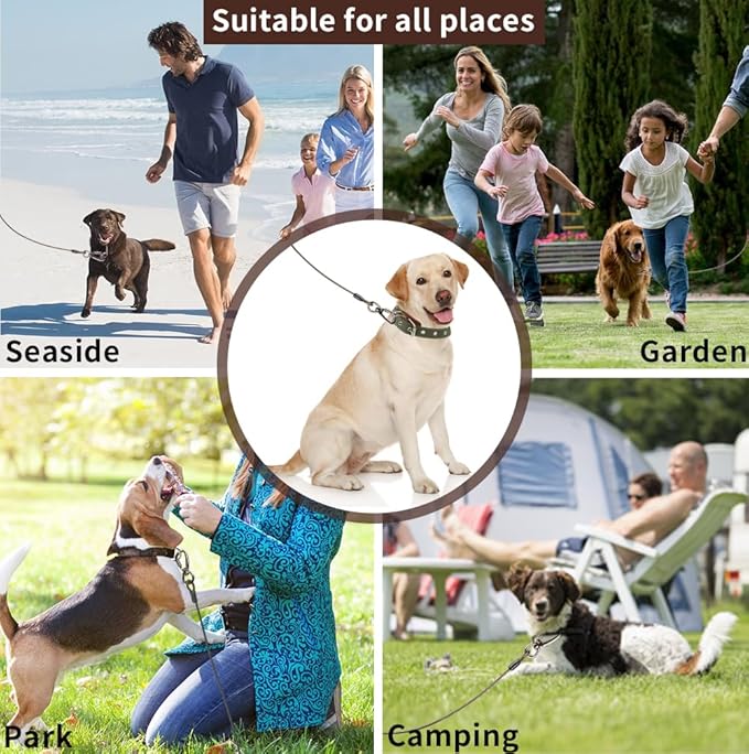 Dog tie Out Cable, 10/20/25/30/50/70/100 feet, Suitable for Dogs up to 350 pounds, Dog Cable with Swivel Buckle, Lightweight, Non-Winding, for Outdoor Camping, Yard Dog Cable (Black, 20FT)