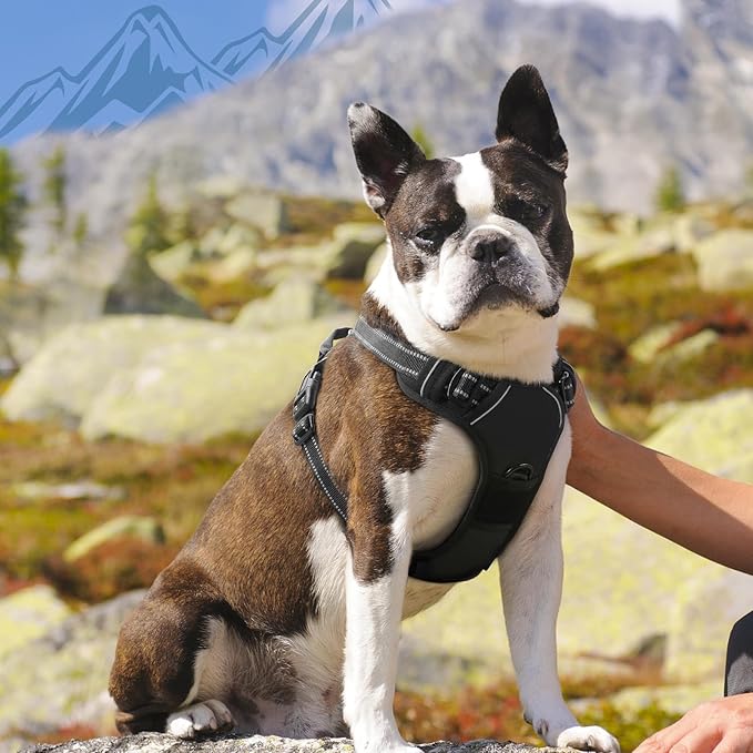 Eagloo Dog Harness Medium Sized Dog, No Pull Service Vest with Reflective Strips and Control Handle, Adjustable and Comfortable for Walking, No Choke Pet Harness with 2 Metal Rings, Black, M