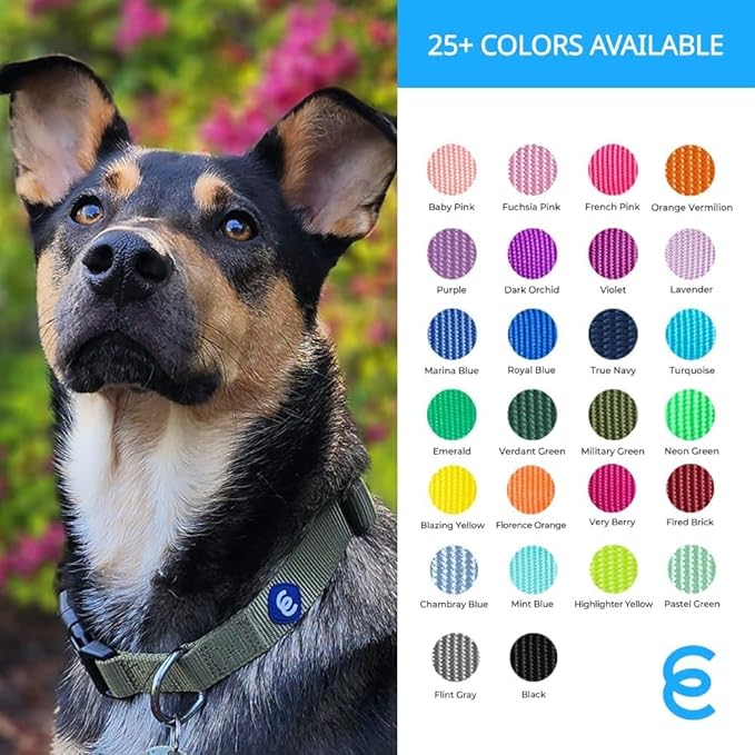 Blueberry Pet Essentials Large Dog Collar | Adjustable Nylon Dog Collar for Large Dogs | Fired Brick | Stylish Large Boy Dog Collar | Secure Puppy Collar | Dog Collars for Small Dogs & More