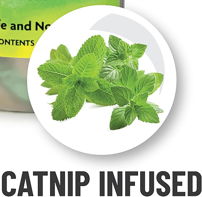 Kitty Love Bubbles: 2 Pack Catnip Scented - 4oz Bottles, Catnip Infused Long Lasting Bubbles For Cats, Non-Toxic & Allergen-Free, Combine Toy & Treat