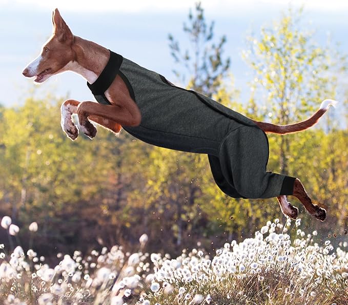 ROZKITCH Dog Surgery Leg Sleeve Rear Legs, Male Female Pet Prevent Licking Wound Elbow Knee Protector, Dog Recovery Suit Cone Collar Alternative Pants Shirt for Wound Heal Wrap Grey 3XL