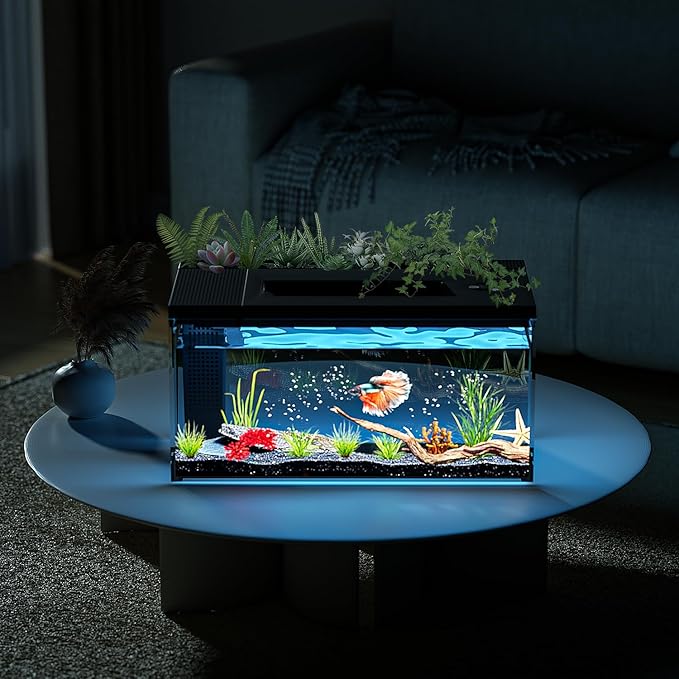 3.7 Gallon Betta Fish Tank self Cleaning,Smart Aquarium Aquarium kit with Filter Light Water Pump