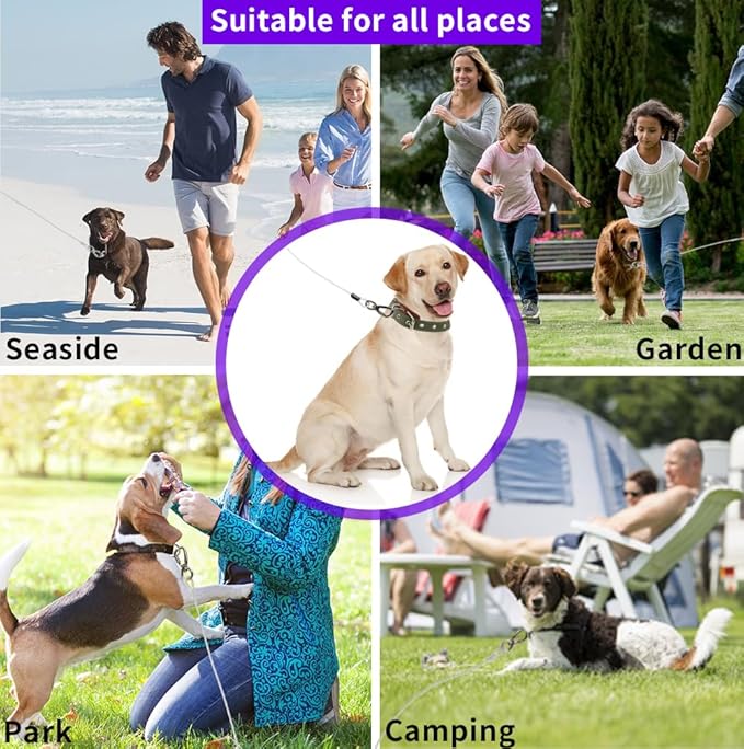 Dog tie Out Cable, 10/20/25/30/50/70/100 feet, Suitable for Dogs up to 350 pounds, Dog Cable with Swivel Buckle, Lightweight, Non-Winding, for Outdoor Camping, Yard Dog Cable (White, 10FT)