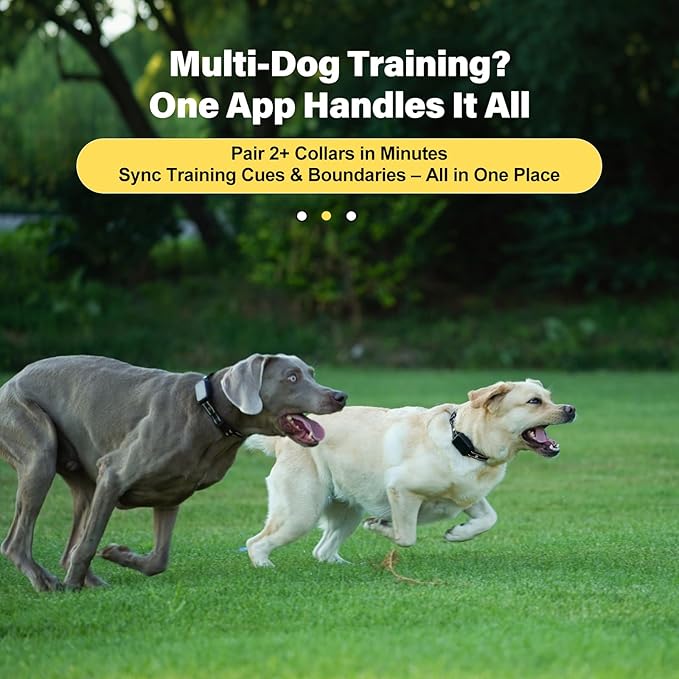 GPS Wireless Dog Fence System - Electric Training Collar with Free App for Dogs 15 Lbs+ (Black)