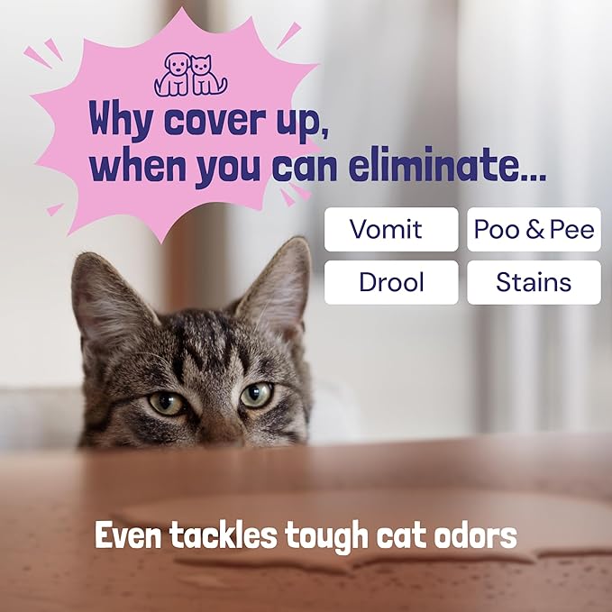 Sunny & Honey Pet Stain & Odor Miracle - Carpet Enzyme Cleaner for Dog & Cat Stain - Light Lavender Carpet Stain Remover for Rug and Mattress - Carpet Cleaner Spray - 32 fl oz Carpet Cleaner Solution