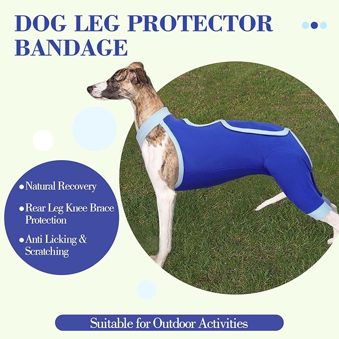 ROZKITCH Dog Surgery Leg Sleeve Rear Legs, Male Female Pet Prevent Licking Wound Elbow Knee Protector, Dog Recovery Suit Cone Collar Alternative Pants Shirt for Wound Heal Wrap Blue 2XL
