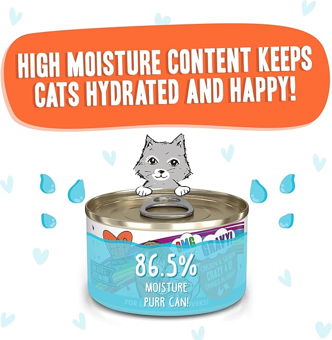 Weruva B.F.F. OMG - Best Feline Friend Oh My Gravy! Grain-Free Wet Cat Food Cans, Crazy 4 U! Chicken & Salmon, 2.8oz Can (Pack of 12)