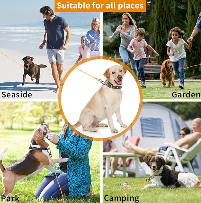 Dog tie Out Cable, 10/20/25/30/50/70/100 feet, Suitable for Dogs up to 350 pounds, Dog Cable with Swivel Buckle, Lightweight, Non-Winding, for Outdoor Camping, Yard Dog Cable (Orange, 30FT)
