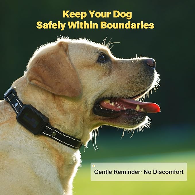 GPS Wireless Dog Fence System - Electric Training Collar with Free App for Dogs 15 Lbs+ (Black)
