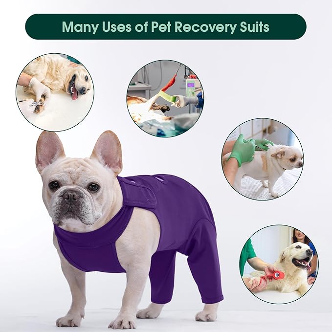 Kuoser Dog Surgery Recovery Suit for Rear Legs, Thigh Wound Protective Sleeve for Dogs, Dog Recovery Sleeve for Female Male Dogs, Dog Onesie After Surgery Pet Surgical Suit for Spay Neuter, Purple S