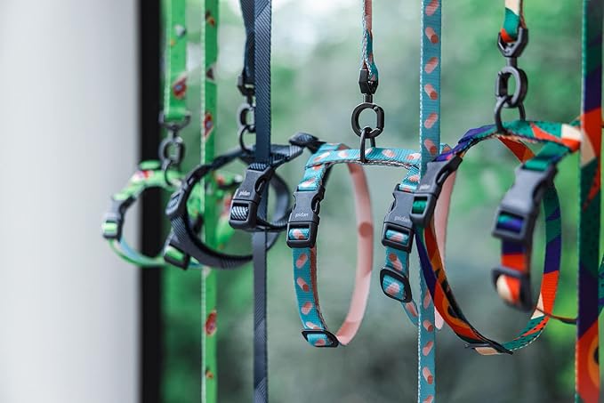 pidan Cat Harness and Leash Set, Cats Escape Proof - Adjustable Kitten Harness for Large Small Cats, Lightweight Soft Walking Travel Petsafe Harness / Green /lime