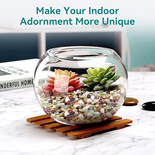 2.5lbs Pebbles for Indoor Plants, 3/8 Inch Small Rocks for Potted Plants, Succulents, Vase Fillers, Cactus Planters, Bird Bath, Fountain, Outdoor Garden Landscaping