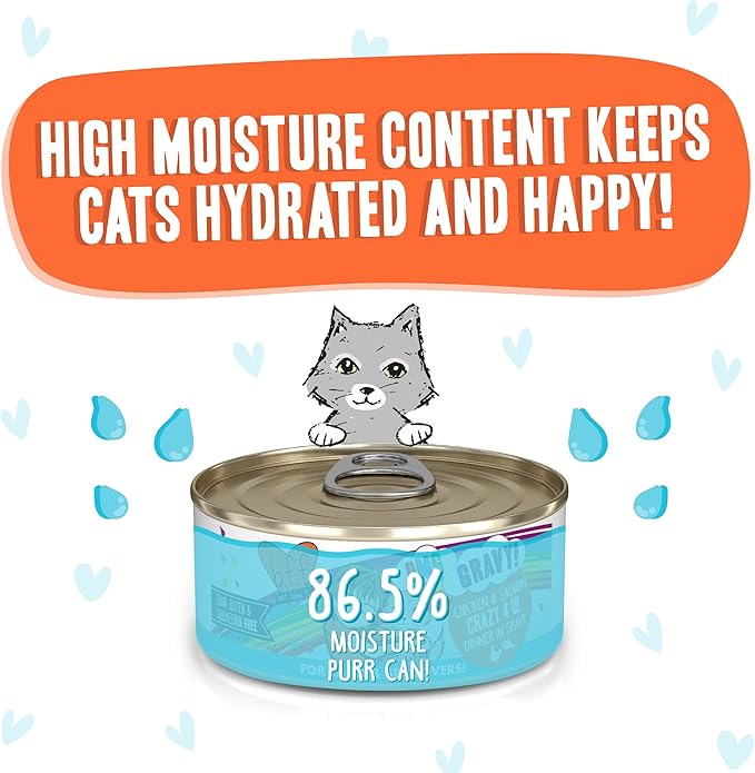 Weruva B.F.F. OMG - Best Feline Friend Oh My Gravy! Grain-Free Wet Cat Food Cans, Crazy 4 U! Chicken & Salmon, 5.5-Ounce Can (Pack of 8)