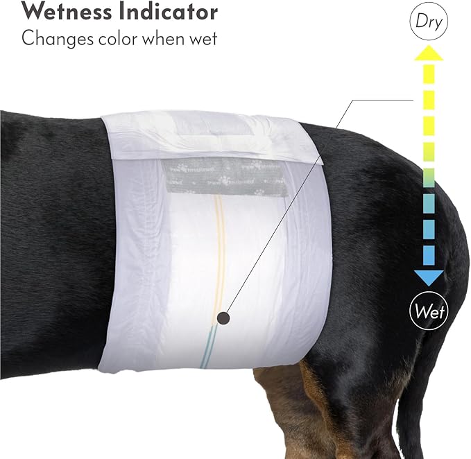 Paw Inspired Select Fit Male Dog Diapers, Disposable Male Wraps with Wetness Indicator| Belly Bands for Small, Medium, Large Dogs (X-Large, 20 Count)
