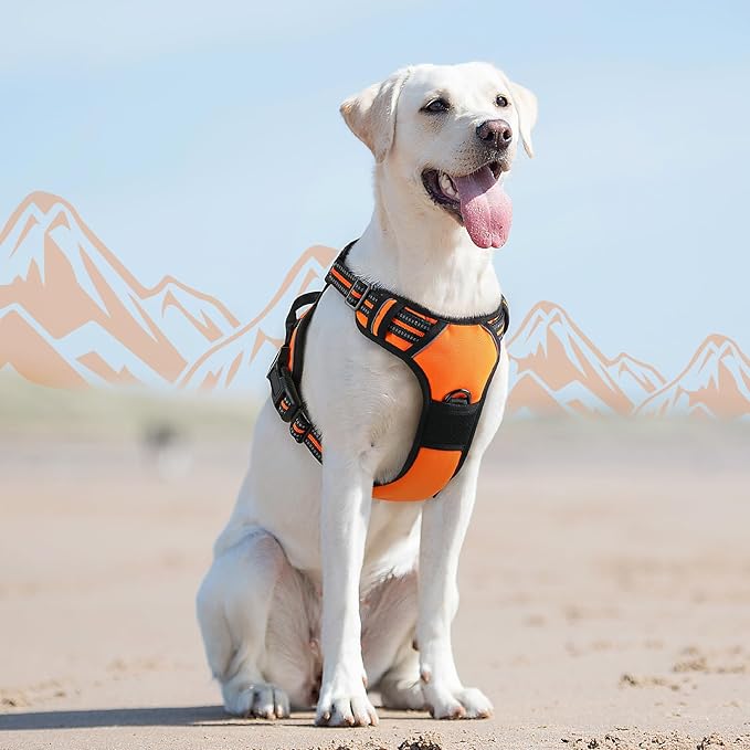 Eagloo Dog Harness for Large Dogs, No Pull Service Vest with Reflective Strips and Control Handle, Adjustable and Comfortable for Walking, No Choke Pet Harness with 2 Metal Rings, Orange, L