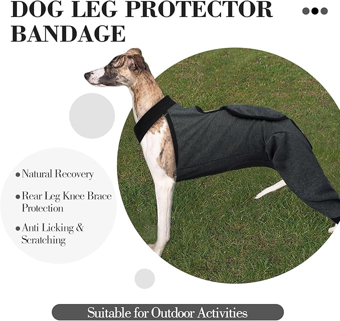 ROZKITCH Dog Surgery Leg Sleeve Rear Legs, Male Female Pet Prevent Licking Wound Elbow Knee Protector, Dog Recovery Suit Cone Collar Alternative Pants Shirt for Wound Heal Wrap Grey 3XL