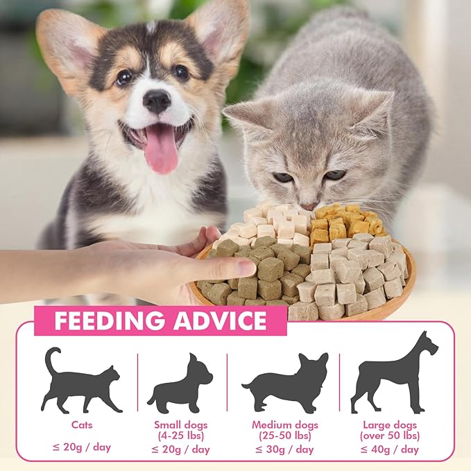 Freeze Dried Cats & Dogs Raw Treats, All Natural Single Ingredient Chicken Liver, High Protein Healthy Pet Training Treats or Food Topper, 10.6 oz