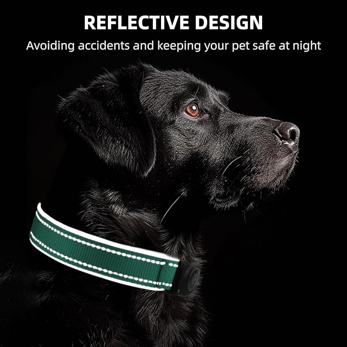 Airtag Dog Collar - 100% Waterproof Air tag Dog Collar Holder for Apple AirTag, Reflective, Soft Padded, Everlasting, GPS Dog Collar for Small Medium Large Dogs (Teal, L)