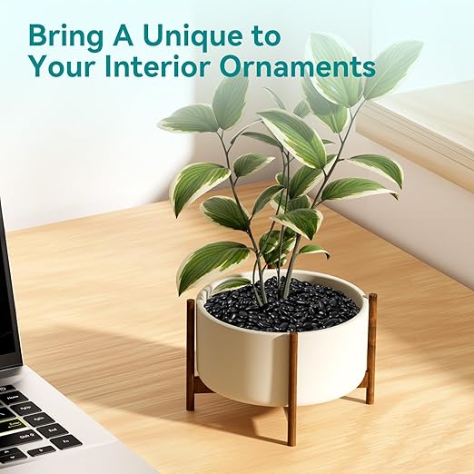 2.5 lbs Black Pebbles for Indoor Plants, 3/8" Small Rocks for Plants Indoor, Succulent, Bamboo, Vase, Decorative Black River Rocks Pea Gravel, Highly Polished