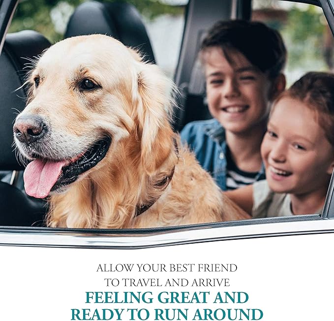 Anti-Motion Sickness and Nausea Relief for Large Breed Dogs, Relief for Disorientation and Dizziness, 30 Tablets