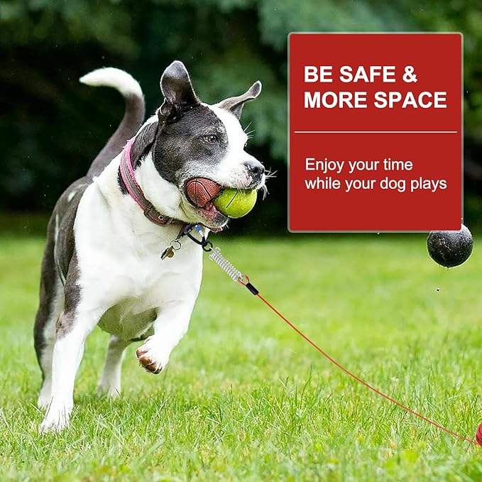Snagle Paw Dog Leads for Yard 50FT-1000LBS Break Strength,Heavy Duty Tie Out Cable for Dogs with Swivel Lockable Hook & Spring,Chew Proof Dog Chain for Outside,Dog Run Cable for Medium Large Dogs