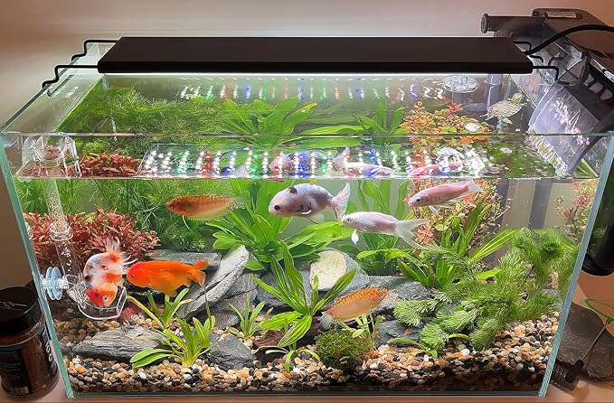 Advanced 7-Row LED Aquarium Light, Easy Setup Controller, Auto On Off Full Spectrum Fish Tank Light, 24/7 Lighting Cycle, 8 Colors, 10 Level Dimming, 62W for 48"-54" Freshwater Planted Tank