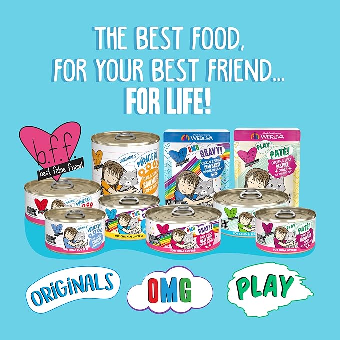 Weruva B.F.F. OMG - Best Feline Friend Oh My Gravy! Grain-Free Wet Cat Food Cans, Crazy 4 U! Chicken & Salmon, 5.5-Ounce Can (Pack of 8)