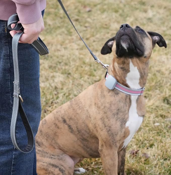 Dog Training Device - The Original Kona Clip Designed in The USA Vibration Correction with Remote Controller Small, Medium, Large Dogs Leash Training, Waterproof, Rechargeable