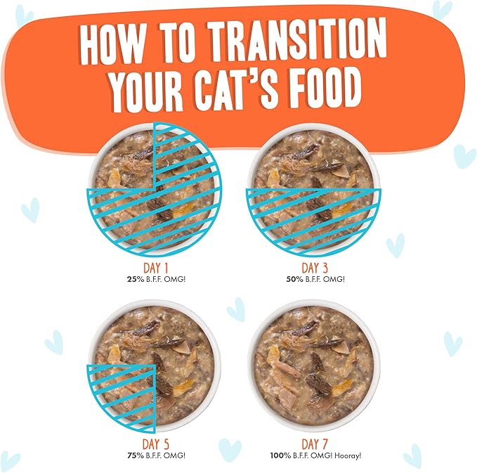 Weruva B.F.F. OMG - Best Feline Friend Oh My Gravy! Grain-Free Wet Cat Food Cans, Crazy 4 U! Chicken & Salmon, 5.5-Ounce Can (Pack of 8)