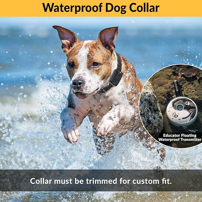 Educator E-Collar Dog Training Collar, Rechargeable Remote + Finger Clicker, for Small to Medium Dogs, Humane Tapping Stimulation, 100 Levels, Tone, Light, 1/2 Mile 2 Dogs, Zen