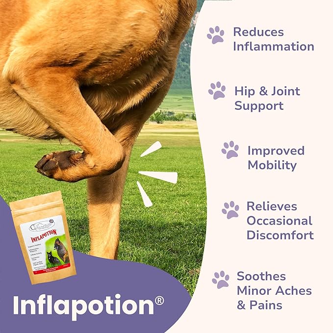 Glacier Peak Holistics Inflapotion - Natural Herbal Anti-Inflammatory for Dogs & Cats, Organic Remedy for Arthritis, Inflammation, Hip & Joint Pain, Mobility & Wellness - 3oz (90 Servings)