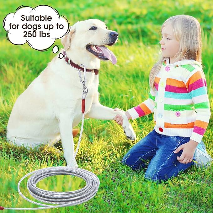 Dog Tie Out Cable for Dogs Outside Up to 125/250lbs,10/20/30/50FT Long Dog Leashe&Chains,Small-Large Dogs Runner Cable for Yard,Heavy Duty Dog Lead Line for Outdoor,Camping,Yard(250lbs 10FT, Silver)