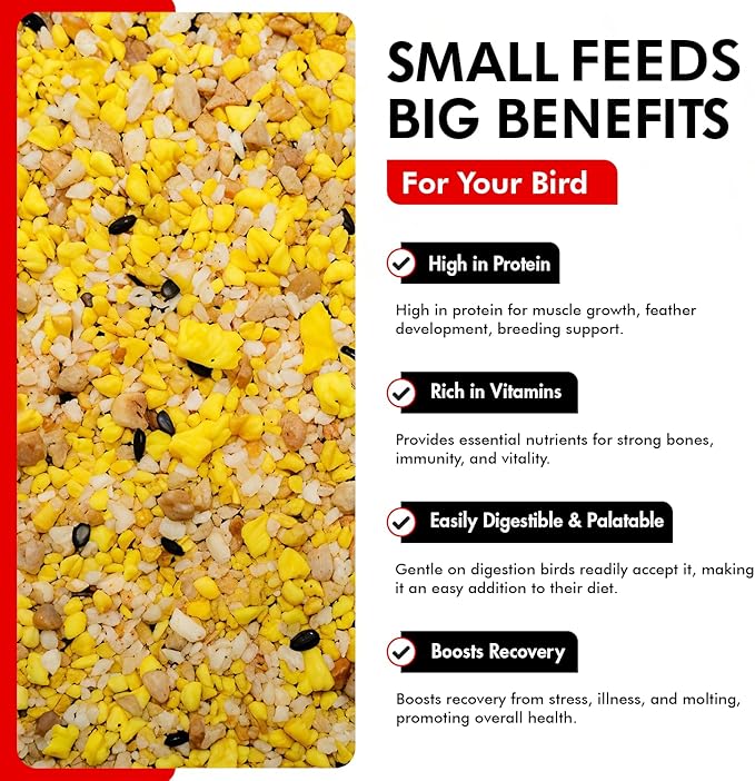 Morning Bird Eggfood 1.5 lbs – Protein Food with Essential Amino Acids, Vitamins & Minerals – Supports Growth, Digestion & Feather Health – Ideal Bird Seed for Breeding and All Bird Types