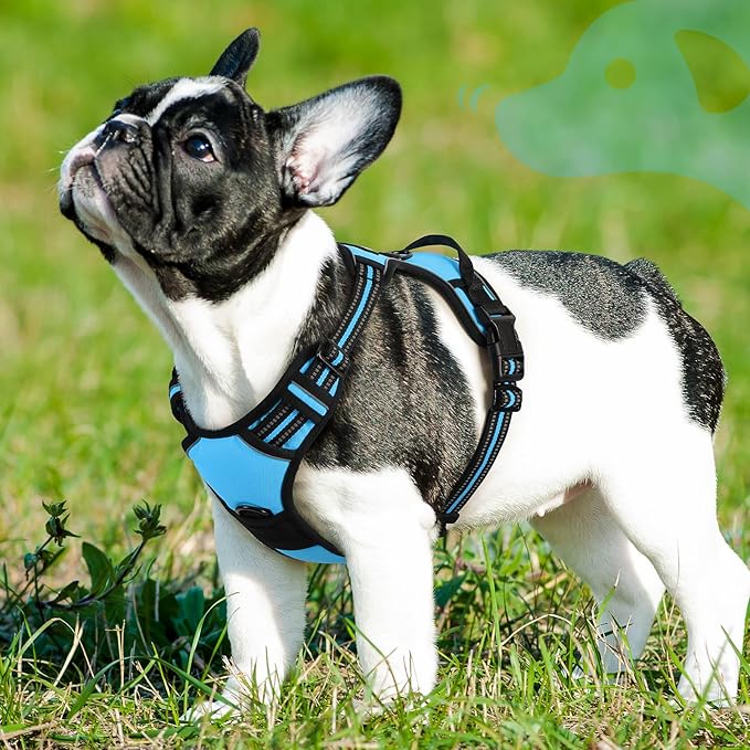 Eagloo Dog Harness Small Sized Dog, No Pull Service Vest with Reflective Strips and Control Handle, Adjustable and Comfortable for Easy Walking, No Choke Pet Harness with 2 Metal Rings, Sky Blue, S